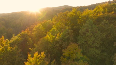 AERIAL, LENS FLARE: First rays of rising sun gently spill over forested hills Stock Footage 344909796