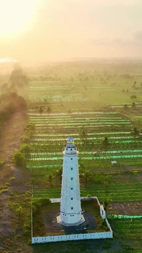 Aerial lighthouse view through misty tropical farmland Stock Footage 335432400