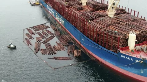Aerial: Loading Logs onto a bulk freighter Stock Footage 149899871