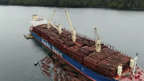 Aerial: Loading Logs onto a bulk freighter Stock Footage 149900125