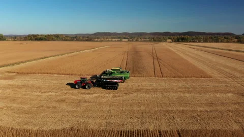 Aerial loading soybeans from green combine Video stock 271660194