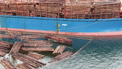 Aerial: Log bundle being lifted out of the water Stock Footage 149899661