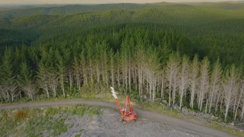 Aerial: logging Cable Line Grapple crane in the forest Stock-Footage 230729954
