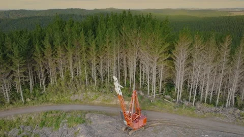 Aerial: logging Cable Line Grapple crane in the forest Stock Footage 230730232