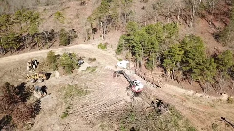 An aerial of a logging crew sorting and loading timber at a landing into a truck Stock Footage 342568980