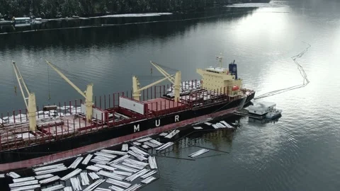Aerial: Logs being loaded on to a freighter for export Stock Footage 149848183