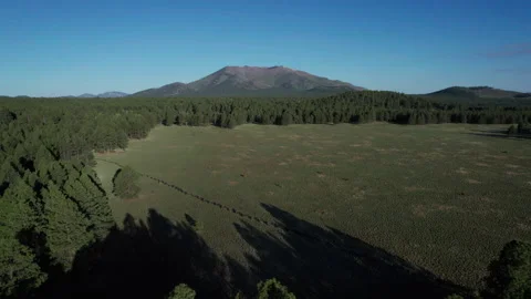 Aerial of a lone mountain beyond a forest prairie Stock Footage 243909406