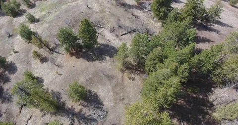 Aerial look-down push across rocky mountain outcropping with trees Stock Footage 88455082