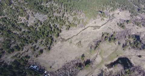 Aerial look-down push across trees and rocky outcrops Stock Footage 88455324
