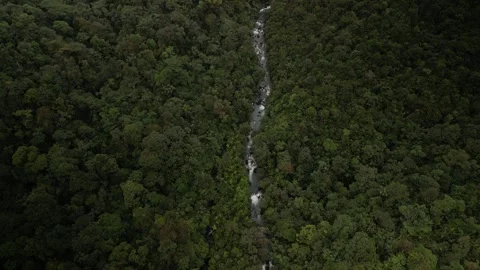 Aerial look down on Rio Celeste river in Costa Rica Alajuela Province Stock Footage 329656635