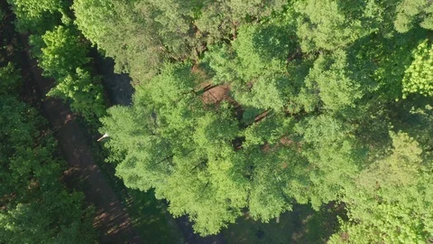 Aerial look-down shot of the park on a sunny morning. Stock Footage 111401971