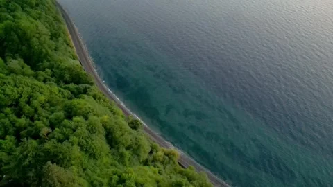 Aerial Look Down at Train Track Between Forest and Water Stock Footage 249119865