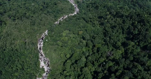 Aerial look down view deep forest with ricer of waterfall Stock Footage 133357252