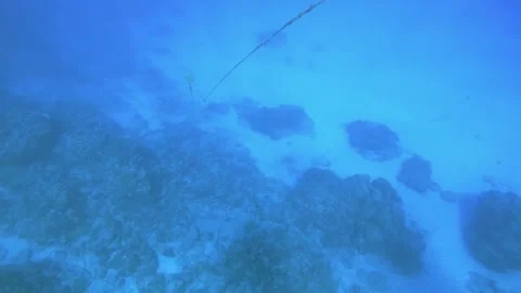 Aerial look down view from top to various coral reefs with fishes and sandy floo Stock Footage 259467313