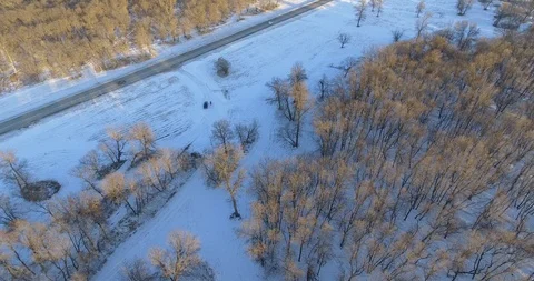 Aerial lookdown of winter trees and frozen river Stock Footage 86297576