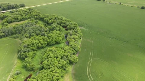 Aerial looking down onto bright green farm fields and a winding stream.  Stock Footage 273319260