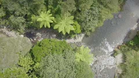 Aerial: Looking down a calm river and tropical forest in New Zealand Stock Footage 102497678