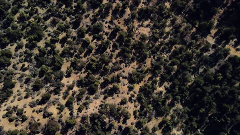 Aerial looking down at a desert landscape 스톡 동영상 157436258