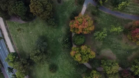 Aerial looking down gardens Stock Footage 152922927