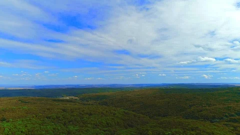AERIAL: Looking down on green pine forest treetops. 4K Stock Footage 116887925