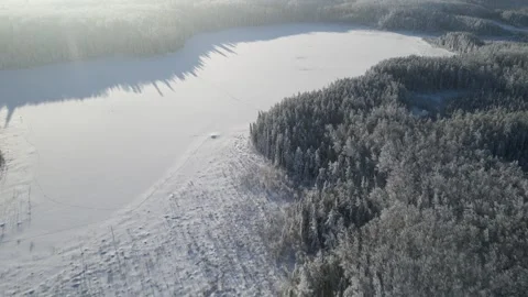 Aerial looking down as moving forward over a snowy deciduous forest  Stock Footage 292690461