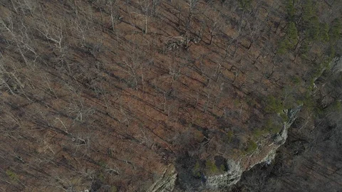 Aerial Looking Down at Rocky Bluff Wilderness Stock Footage 122263051