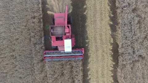 Aerial looking straight down at a Combine harvesting Oklahoma wheat  Stock Footage 57210919