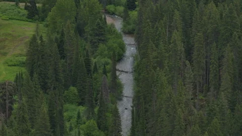 Aerial of Loop Creek in St Joe National Forest in northern Idaho in spring 스톡 동영상 335964643
