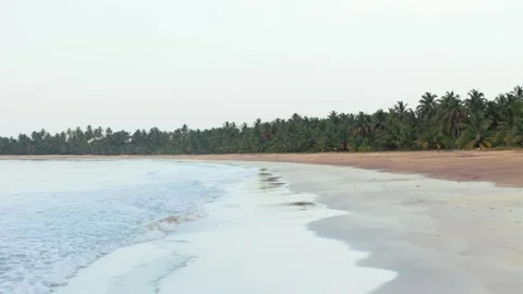 Aerial low angle drone flight above the wild tropical sandy beach with palm tree Stock Footage 275540609