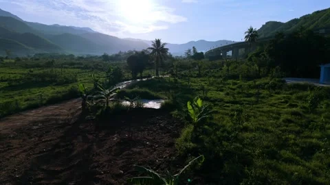 Aerial Low Angle View of Palm Trees and Highway in Central Vietnam Stock Footage 337808171