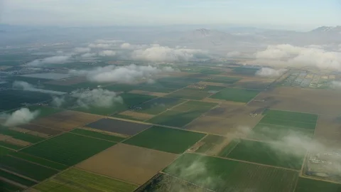 Aerial low cloud view crop fields Ventura California Stock Footage 91549786
