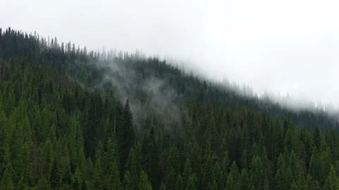 Aerial of low clouds over pine trees in Lolo National forest in Taft Montana Stock Footage 335965060