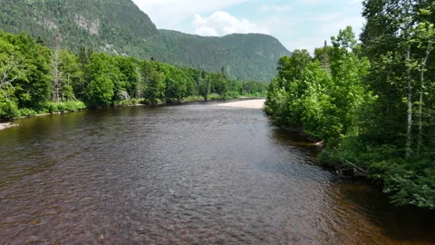 Aerial low flight over river flowing through green forest valley in Saguenay Stock Footage 345677017
