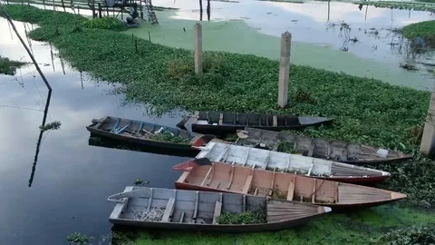 Aerial low fly back from algae green lake in Asia, settle on boats Stock Footage 99251164