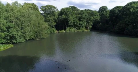 Aerial low fly over a pond in a forest in London in a summer afternoon Stock Footage 78302179
