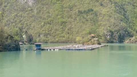 Aerial Low Flying Next to a Small Dock for Boats Vídeo Stock 93342592