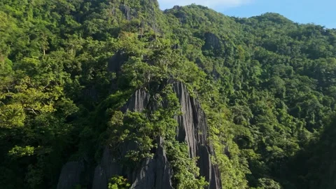 Aerial low to high angle parallax over Twin Lagoon karst cliffs in Coron Stock Footage 336321729