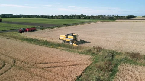Aerial low level orbital view clip of a combine harvester harvesting wheat grain Stock Footage 205329938