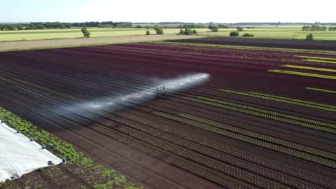 Aerial low level partial orbit of an agricultural irrigation watering system Stock Footage 202882109