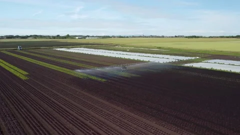 Aerial low level partial orbital clip of an agricultural irrigation watering Stock Footage 202881803