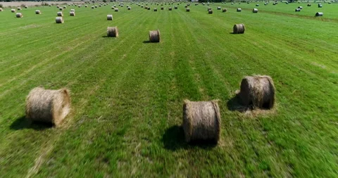 Aerial Low Over Dotted Round Hay Bales Laying In Field Into The Horizon Video stock 199812056