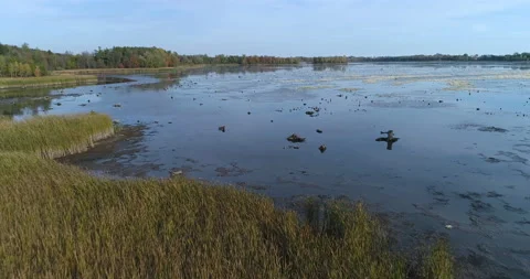 Aerial Low Over Evening Marsh Water Shoreline Over The Lake Reservoir Video stock 188740174