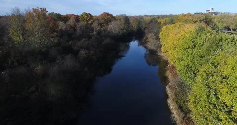 Aerial Low Over Nice River With Colorful Morning Sun Light On The Trees By Shore Stock Footage 200803567