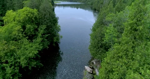 Aerial Low Over River Among Cedar Forest Towards Opening Wider River Valley Stock Footage 200718560