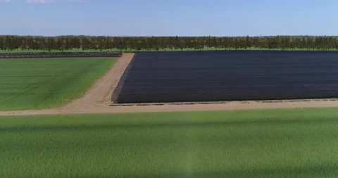 Aerial Low Of  Soya Bean Crops To Above Large Black Sun Screen Farming In Fields Vidéo 199782743