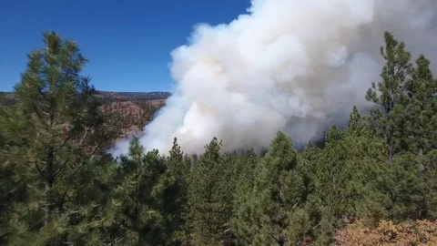 Aerial Low Toward A Forest Fire. Stock Footage 80972601