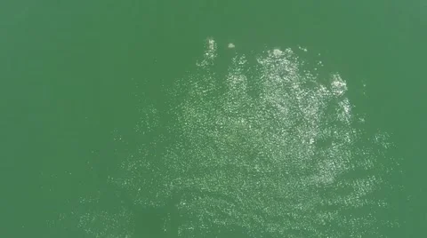 Aerial Low Water Fly Stock Footage 57981536