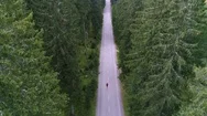 Aerial - Lowering In Front Of Adult Male Running On A Road Through The Forest Stock Footage