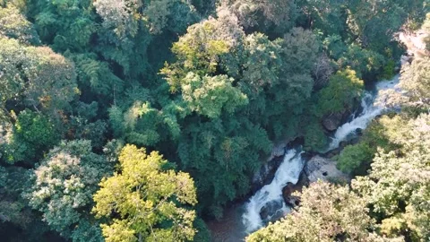 Aerial Mae Sae Waterfall cascading through jungle Chiang Mai Thailand 動画素材 331476340