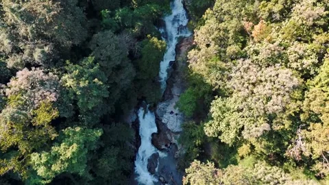 Aerial Mae Sae Waterfall cascading through jungle Chiang Mai Thailand Vidéo 331476345
